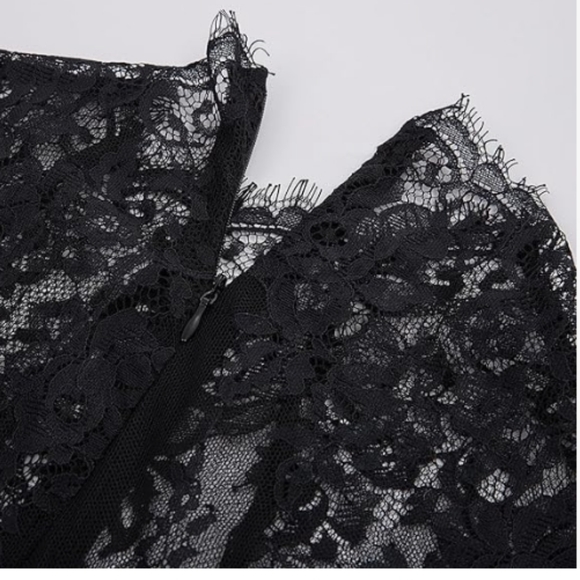 NWT Scarlett Darkness Black Skater Lace Detail Dress 3x - Picture 2 of 3